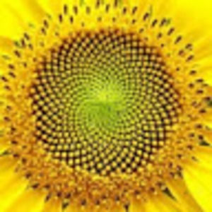 Meet your Posher, Marit